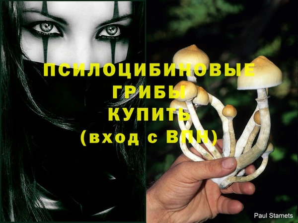spice Белокуриха