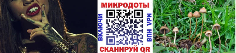 где можно купить наркотик  KRAKEN как войти  Галлюциногенные грибы мухоморы  Красный Сулин 